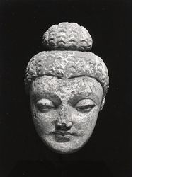 Buddha-Köpfchen